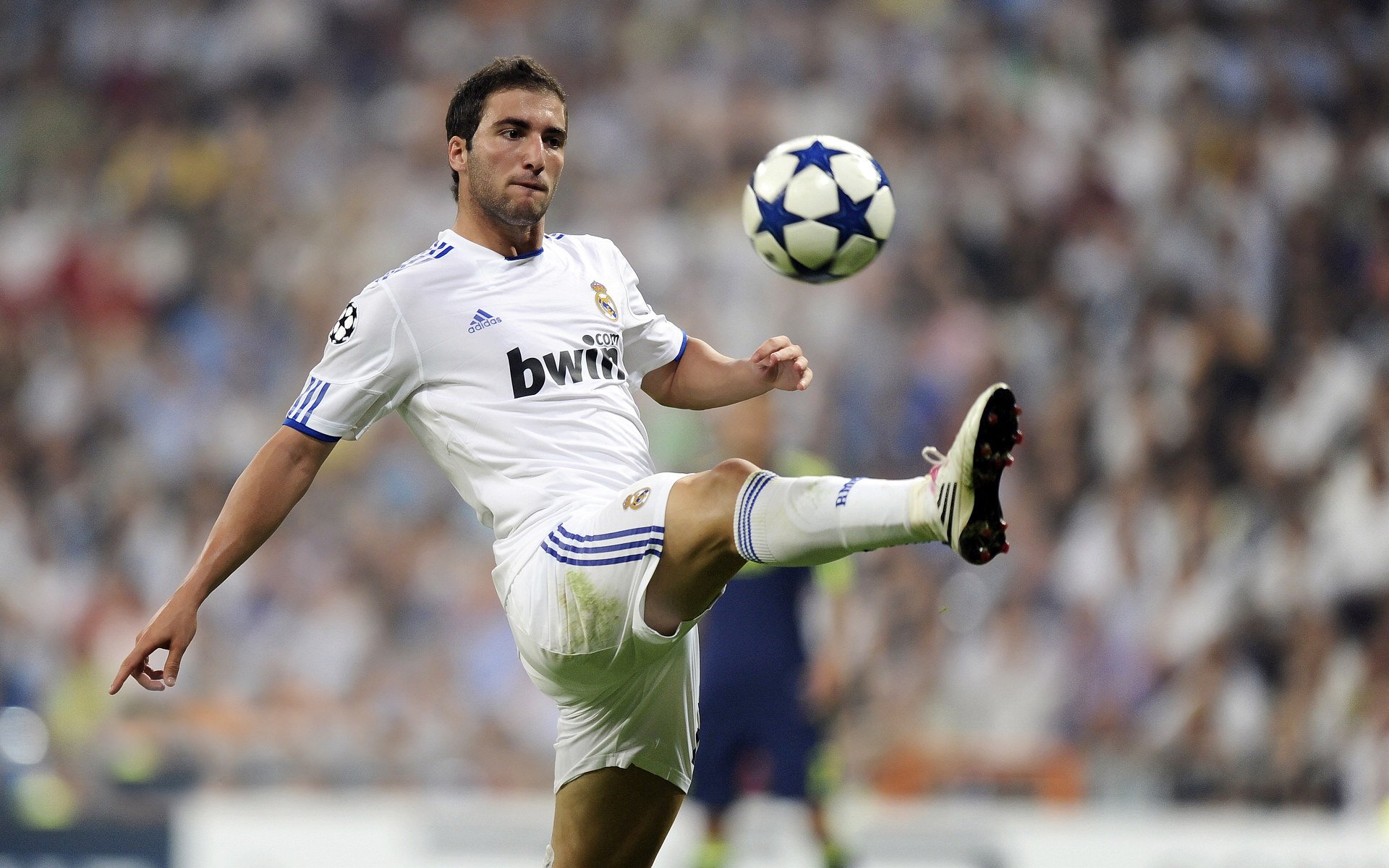 日本新星点燃希望之火!,2020日本新星