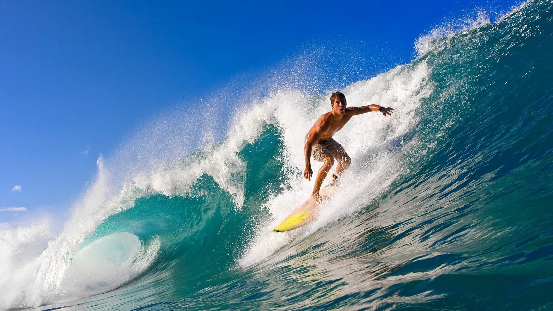 球迷热情高涨:现场氛围究竟有多火爆?,球队氛围怎么表达